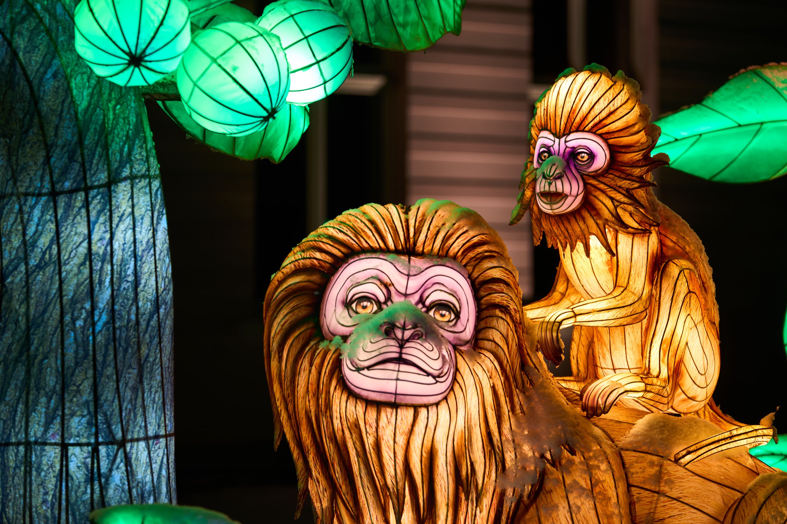 2026 01 05 China Lights 0137